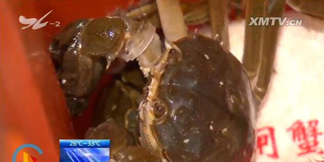 秋风起、蟹脚痒 一年品蟹正当时 各类螃蟹价格均有所上涨厦门广电网www.btnxm.com.cn